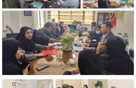 برگزاری نشست نیازسنجی بیمارستان‌های لار، اوز و بیرم